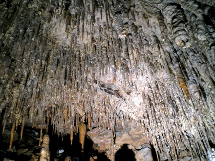 soffitto della stanza degli spaghetti