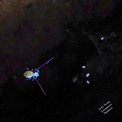 IMG-20190214-WA0018 (FILEminimizer)